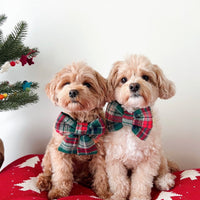 Green Tartan Flannel Dog Bow Tie