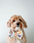 Farmers Market Dog Bow Tie