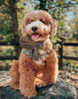 Autumn Florals Corduroy Dog Sailor Bow - SUNNY TAILS