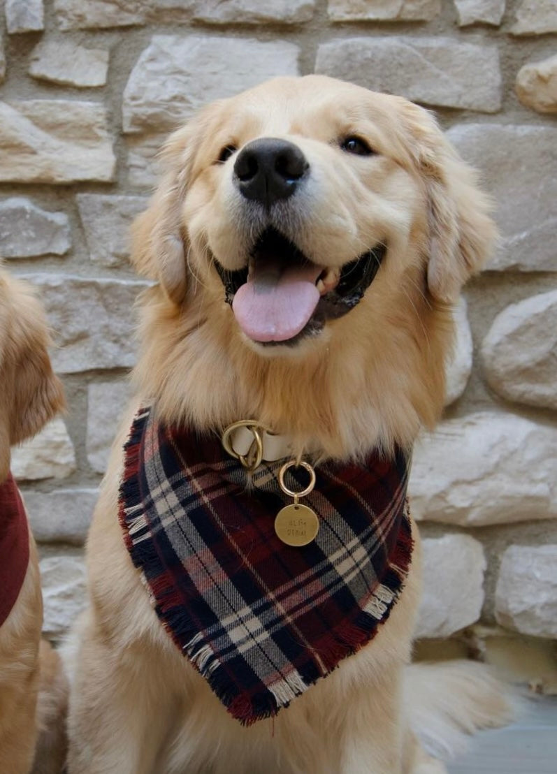 Winterberry Plaid Flannel Frayed Dog Bandana