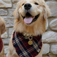 Winterberry Plaid Flannel Frayed Dog Bandana