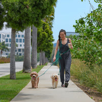 Meadow Green Cloud Leash 4-Way Extension