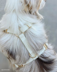 Lunar Glow Convertible Hands Free Cloud Dog Leash | Multifunctional, Glow in the Dark, and Lightweight Dog Leash | Shop Sunny Tails