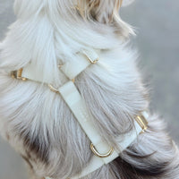 Lunar Glow Dog Harness, Collar, & Treat Pouch Bundle - SUNNY TAILS