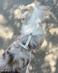 Lunar Glow Dog Harness, Collar, & Treat Pouch Bundle - SUNNY TAILS