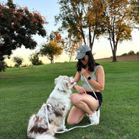 Lunar Glow Dog Harness, Collar, & Treat Pouch Bundle - SUNNY TAILS