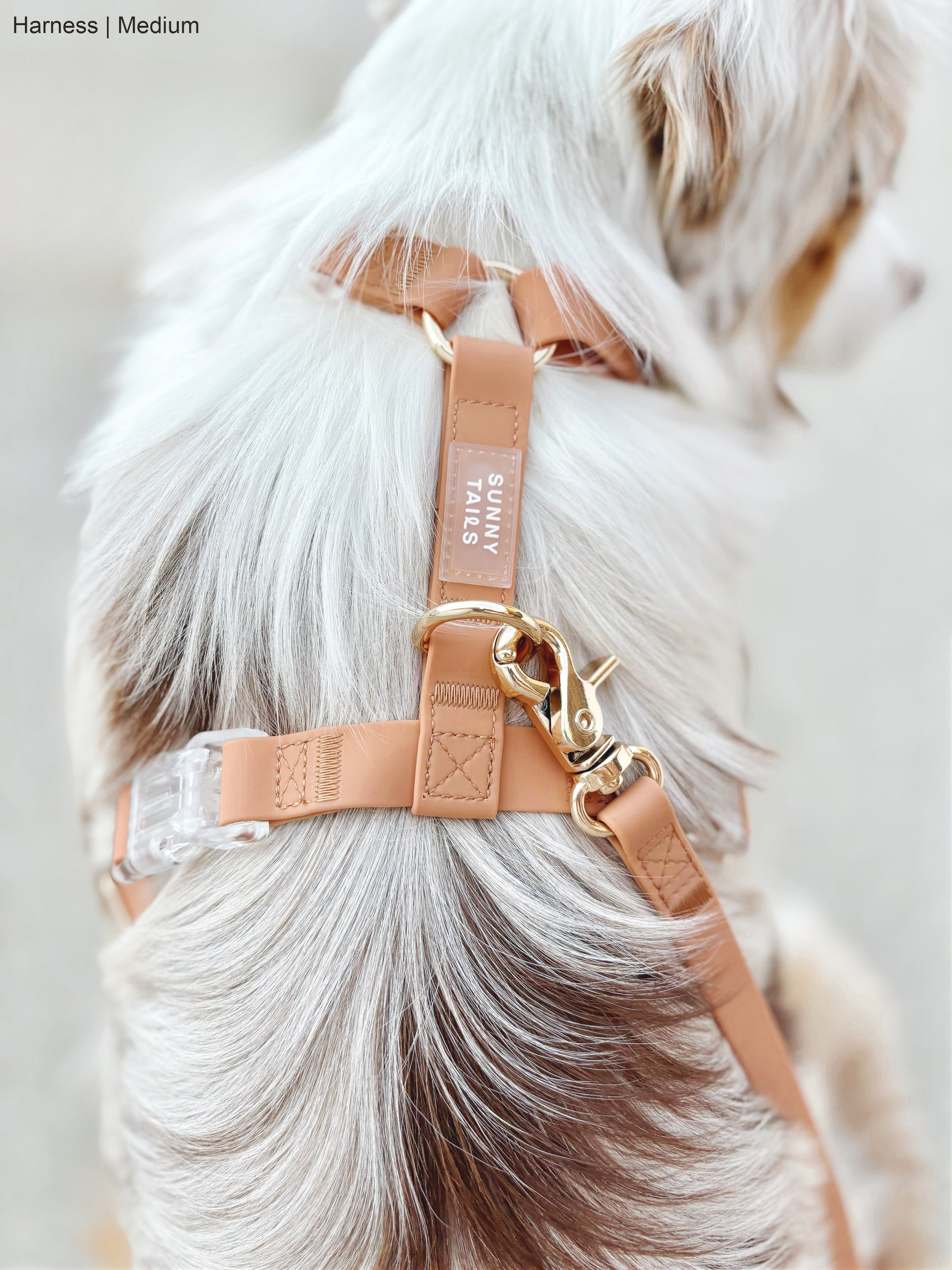 Chai Brown Cloud Lite Dog Harness | Waterproof Dog Harness | No Pull Front Attachment | Available in 3 Sizes