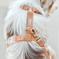 Cloud Lite Dog Harness Bundle Wide
