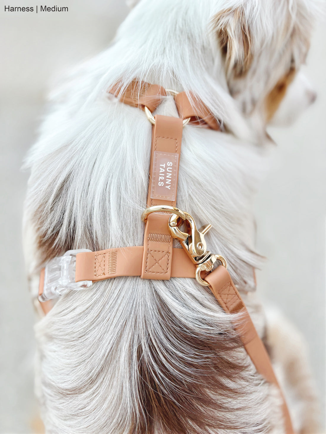 Cloud Lite Dog Harness Bundle