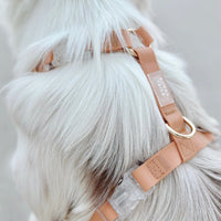 Cloud Lite Dog Harness Bundle - SUNNY TAILS