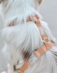 Cloud Lite Dog Harness Bundle Wide - SUNNY TAILS