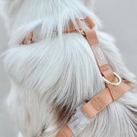 Cloud Lite Dog Harness Bundle Wide