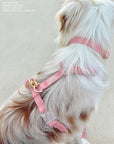 Best Sellers Harness & Treat Pouch Bundle Wide - SUNNY TAILS