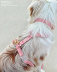 Perfect Pink Waterproof Dog Collar | Light Pink Quick Release Collar | Available in 3 Sizes | Durable Dog Collars | Shop Sunny Tails