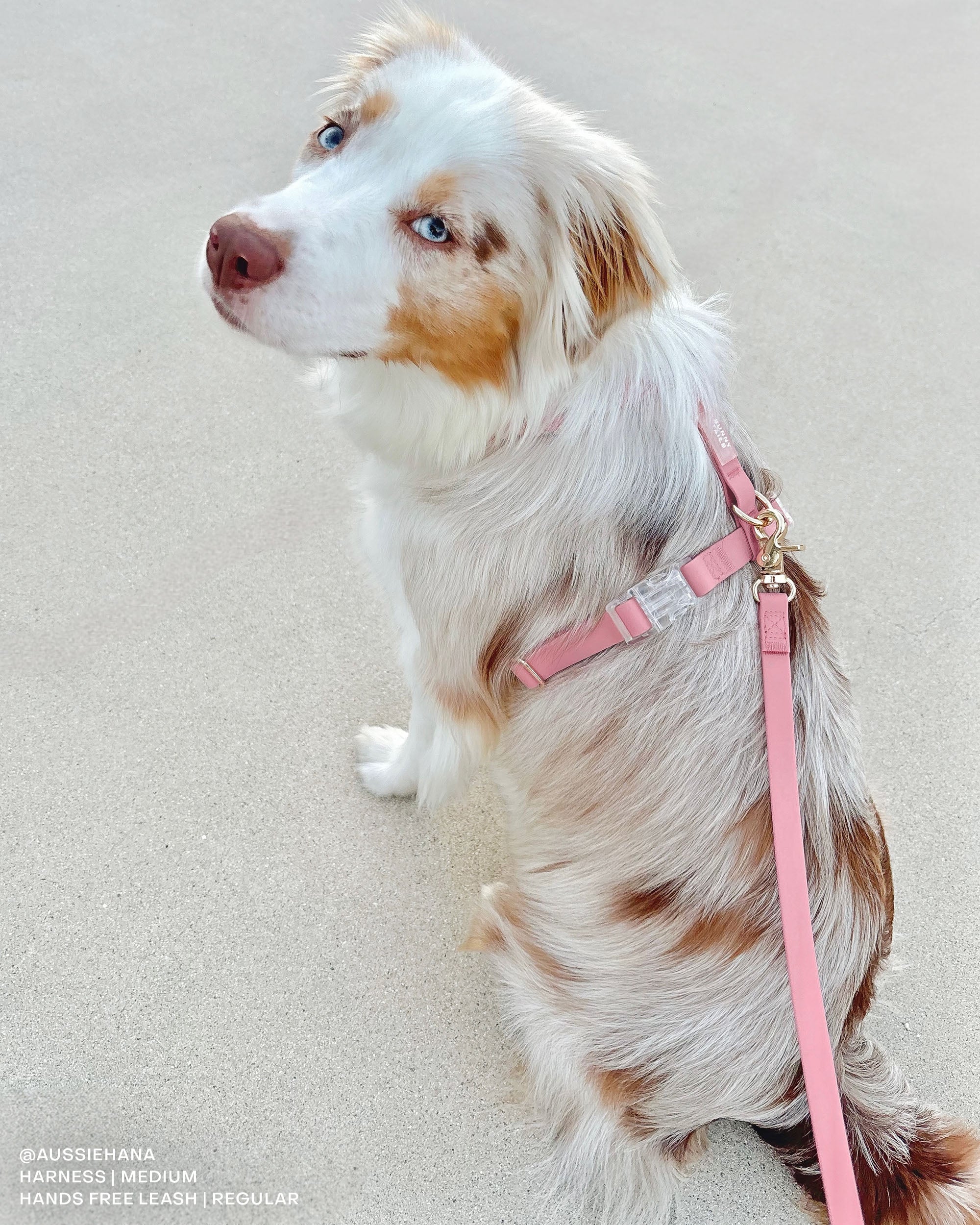 Perfect Pink Cloud Lite Dog Harness | Waterproof Dog Harness | No Pull Front Attachment | Available in 4 Sizes
