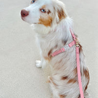 Perfect Pink Cloud Lite Dog Harness | Waterproof Dog Harness | No Pull Front Attachment | Available in 4 Sizes