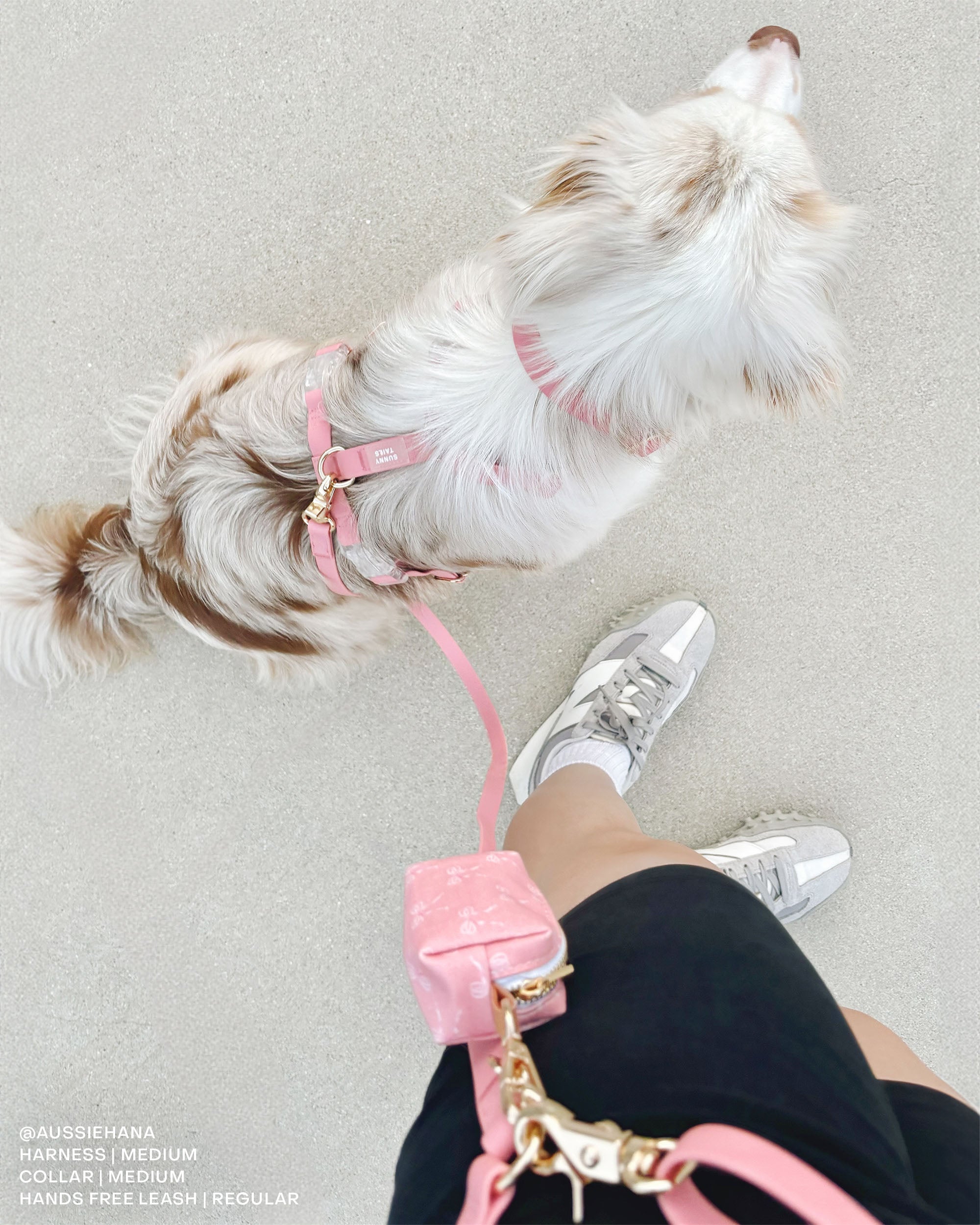 Perfect Pink 4-in-1 Convertible Hands Free Dog Leash | Multifunctional, Waterproof, and Lightweight Dog Leash | No Pull Dog Harness | Silicone Dog Treat Pouch | Dog Waste Poop Bag Dispenser