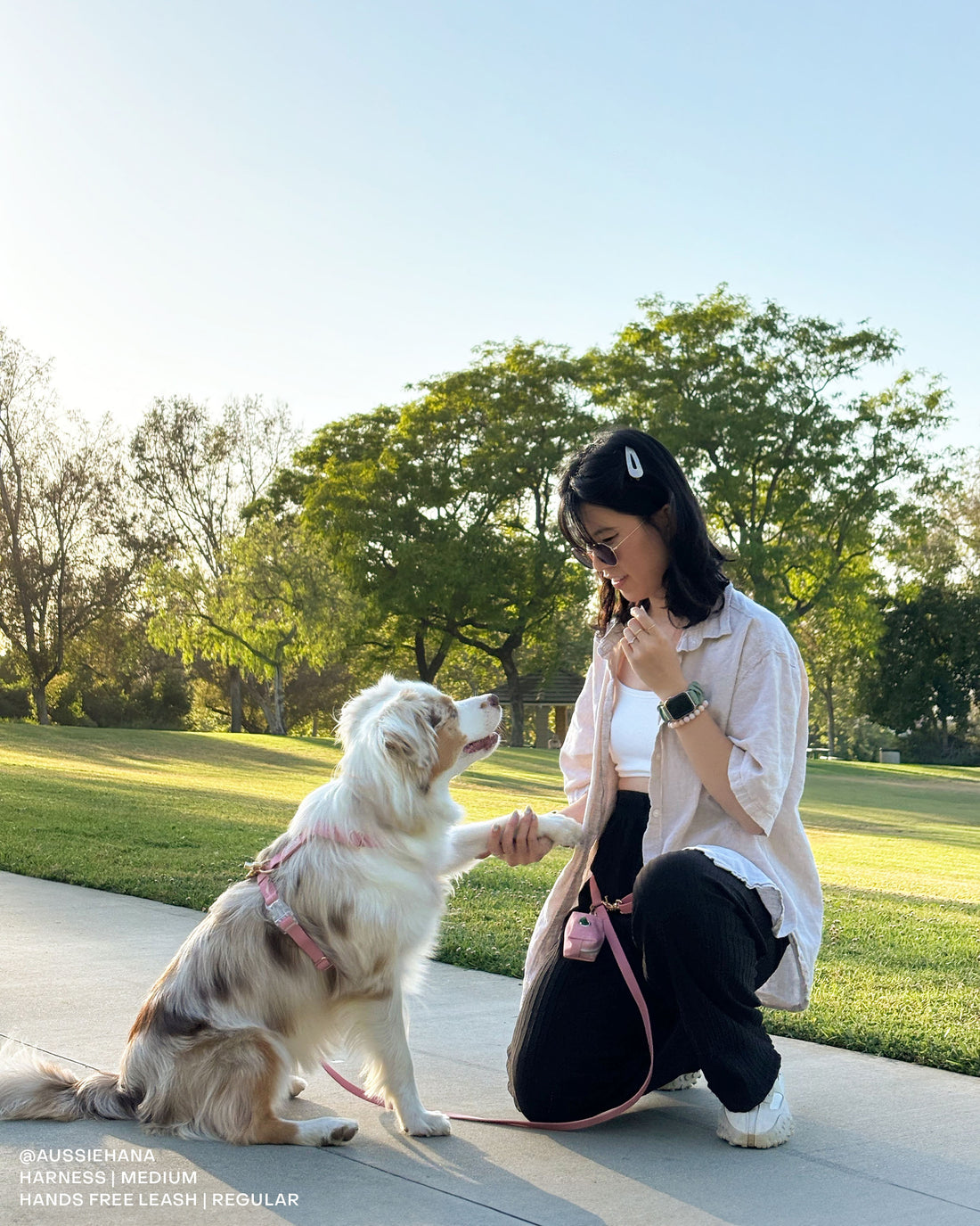 Perfect Pink 4-in-1 Convertible Hands Free Dog Leash | Multifunctional, Waterproof, and Lightweight Dog Leash | No Pull Dog Harness | Silicone Dog Treat Pouch | Dog Waste Poop Bag Dispenser