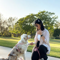 Perfect Pink 4-in-1 Convertible Hands Free Dog Leash | Multifunctional, Waterproof, and Lightweight Dog Leash | No Pull Dog Harness | Silicone Dog Treat Pouch | Dog Waste Poop Bag Dispenser