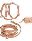 Chai Brown Cloud Lite Dog Harness Bundle