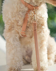 Chai Brown Cloud Lite Dog Harness - SUNNY TAILS