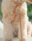 Chai Brown Cloud Lite Dog Harness - SUNNY TAILS