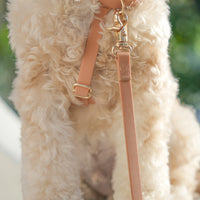 Chai Brown Cloud Lite Dog Harness | Waterproof Dog Harness | No Pull Front Attachment | Available in 3 Sizes