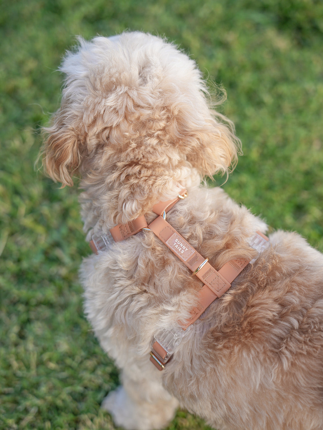 Chai Brown Cloud Lite Dog Harness | Waterproof Dog Harness | No Pull Front Attachment | Available in 3 Sizes