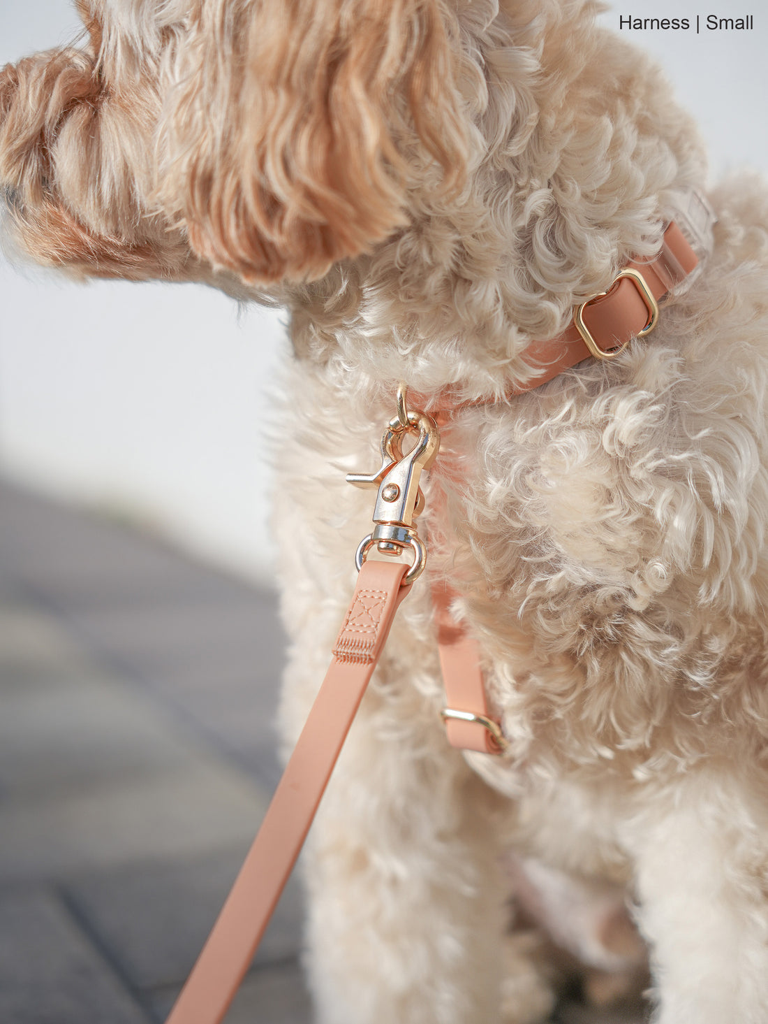 Cloud Lite Dog Harness Bundle