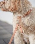 Chai Brown Cloud Lite Dog Harness - SUNNY TAILS