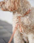 Chai Brown Cloud Lite Dog Harness - SUNNY TAILS