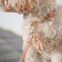 Chai Brown Cloud Lite Dog Harness | Waterproof Dog Harness | No Pull Front Attachment | Available in 3 Sizes