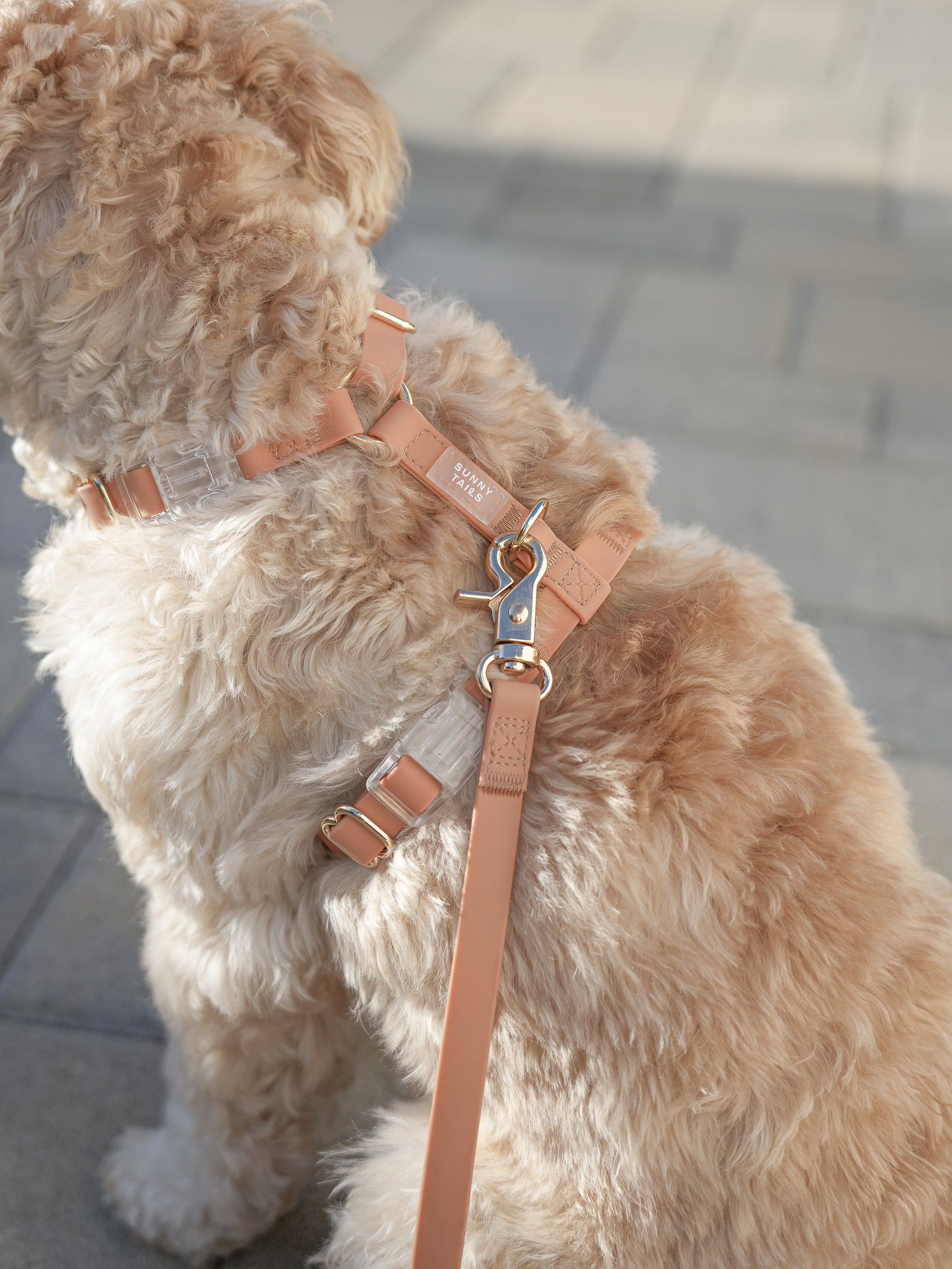 Chai Brown Cloud Lite Dog Harness | Waterproof Dog Harness | No Pull Front Attachment | Available in 3 Sizes