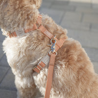 Chai Brown Cloud Lite Dog Harness | Waterproof Dog Harness | No Pull Front Attachment | Available in 3 Sizes