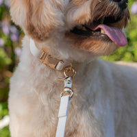 Cloud Dog Collar Bundle - SUNNY TAILS