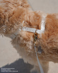 Cloud White Cloud Lite Dog Harness | Waterproof Dog Harness | No Pull Front Attachment | Available in 4 Sizes