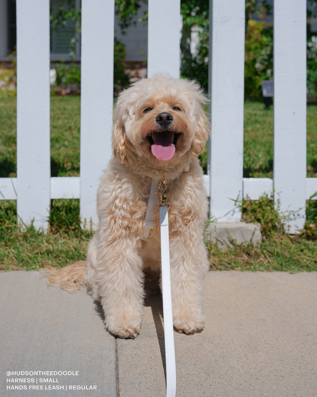 Cloud White Cloud Leash Extension