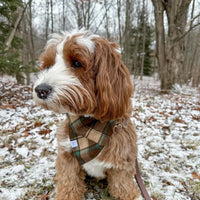 Mint Choco Plaid Flannel Dog Bandana