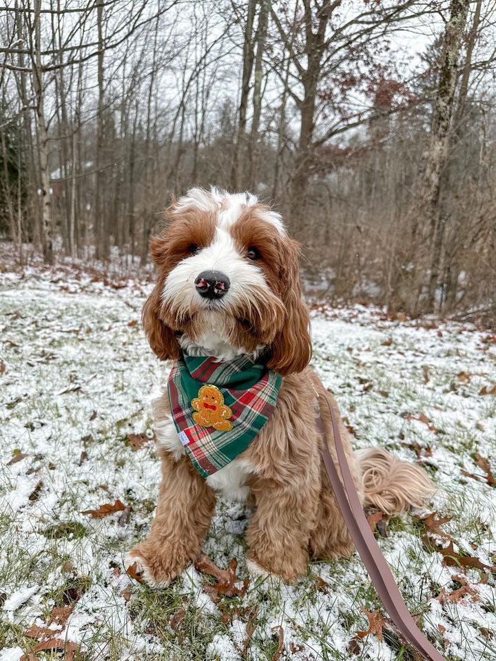 Gingerbread Green Tartan Flannel Dog Bandana