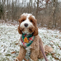 Gingerbread Green Tartan Flannel Dog Bandana