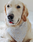 Embroidered Daisies Dog Bandana - SUNNY TAILS
