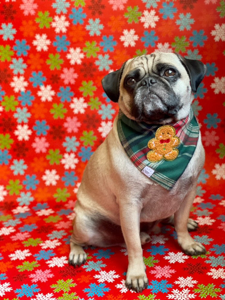 Gingerbread Green Tartan Flannel Dog Bandana