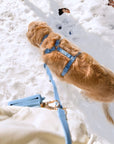 Malibu Blue Wide Hands Free Leash | Cloud Lite Harness | Snap Dog Treat Pouch |  Waste Dog Poop Bag Dispenser