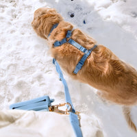 Malibu Blue Wide Hands Free Leash | Cloud Lite Harness | Snap Dog Treat Pouch | Waste Dog Poop Bag Dispenser
