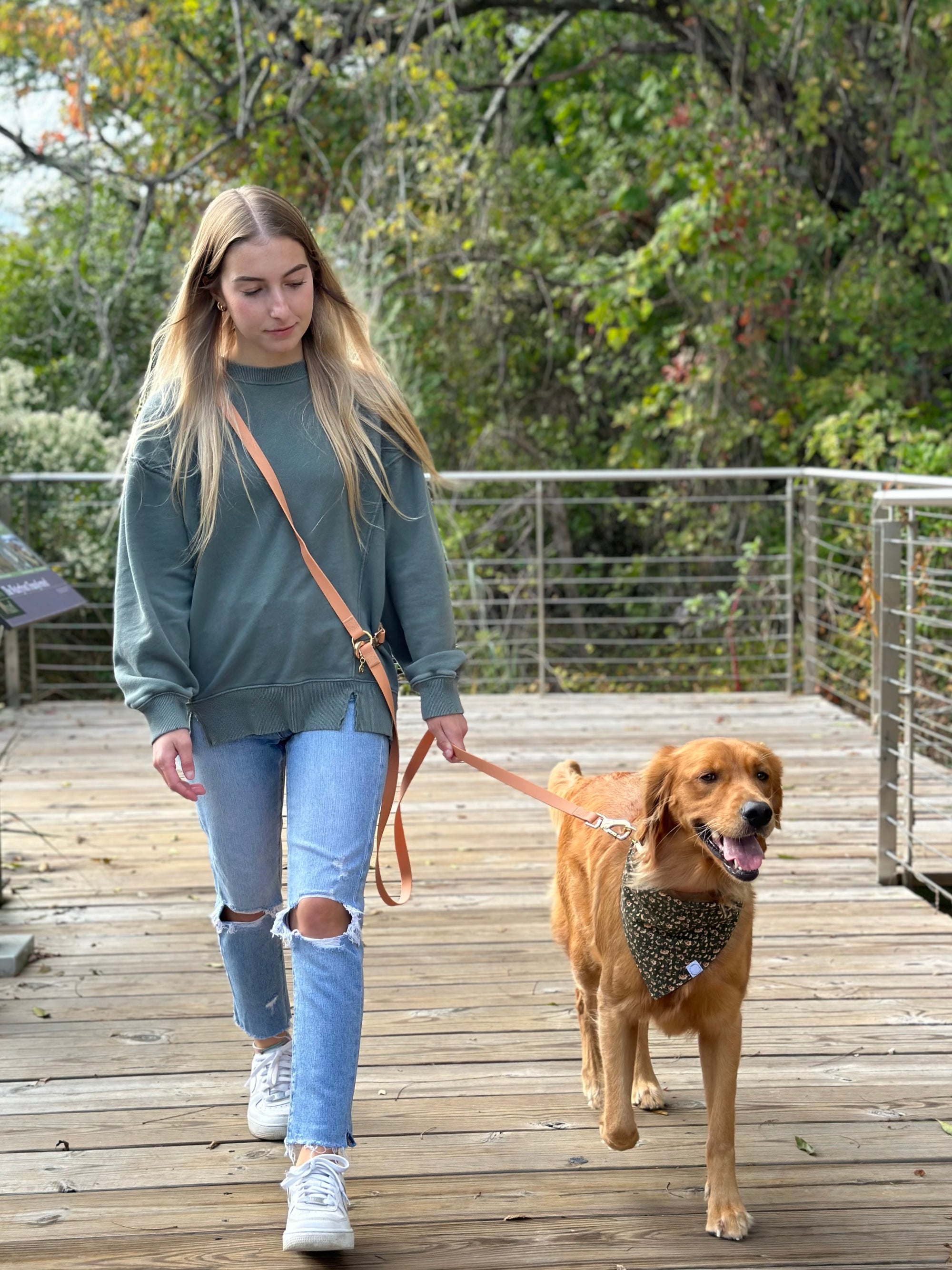 Chai Brown Convertible Hands Free Cloud Dog Leash | Multifunctional, Waterproof, and Lightweight Dog Leash | Shop Sunny Tails