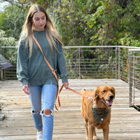 Cloud Lite Dog Harness Bundle Wide