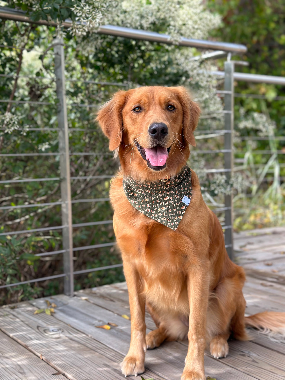 Autumn Florals Corduroy Dog Bandana
