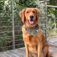 Autumn Florals Corduroy Dog Bandana