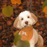 Caramel Corduroy Teddy Friends Vol. 2 Dog Bandana - Beige | Fall Teddy Bear Dog Bandana | Shop Sunny Tails