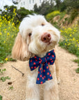 Strawberry Jeans Dog Sailor Bow - SUNNY TAILS